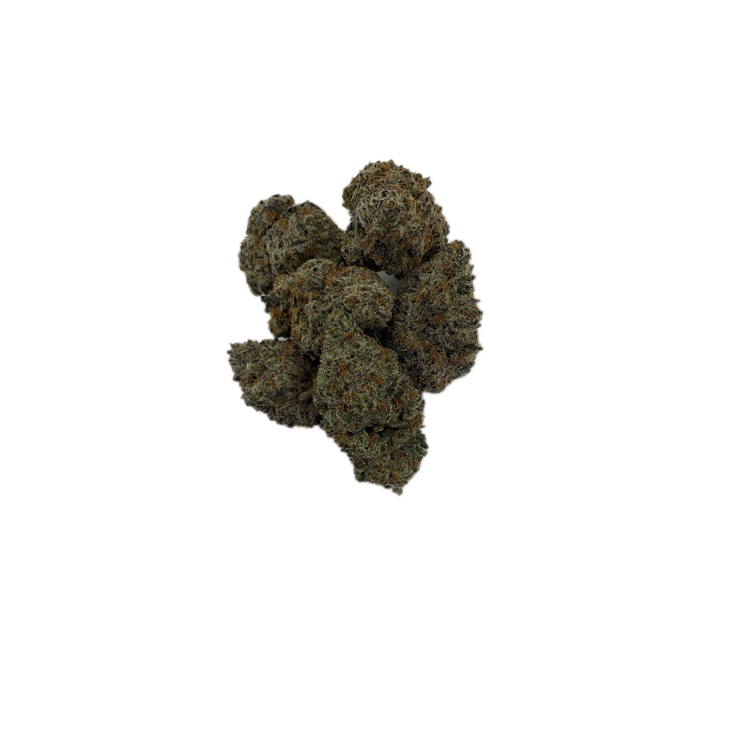 Northern Lights #5